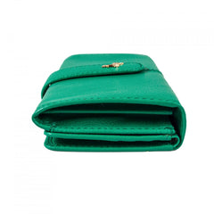 Женский кошелек клатч Ashwood J53 GUMDROP-GREEN (Зеленый)