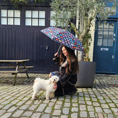 Парасолька жіноча Fulton L354 Minilite-2 Butterfly (Метелики)