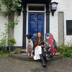 Мини зонт Fulton L501 Huge Rose (Большая роза)