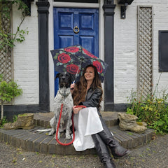 Мини зонт Fulton L501 Huge Rose (Большая роза)