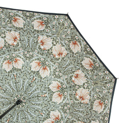 Зонт-трость женский Fulton L856 Morris & Co. Bloomsbury Pimpernel Bayleaf Manilla