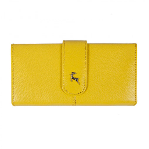 Женский кошелек клатч Ashwood J53 AURORA (Желтый)