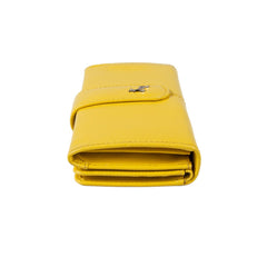 Женский кошелек клатч Ashwood J53 AURORA (Желтый)