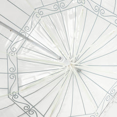 Дизайнерський жіночий парасолька-тростина прозорий LULU GUINNESS BY FULTON L719 BIRDCAGE (ПТАХ У КЛІТЦІ)